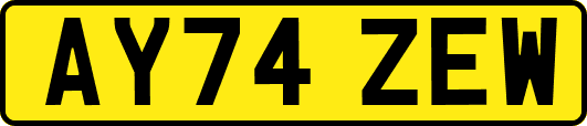 AY74ZEW