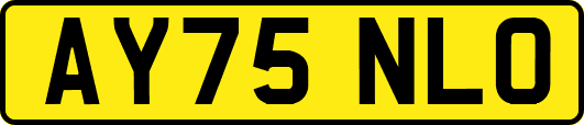 AY75NLO