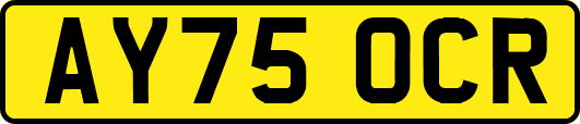 AY75OCR