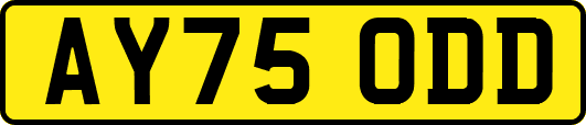 AY75ODD
