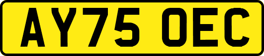 AY75OEC