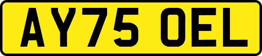 AY75OEL