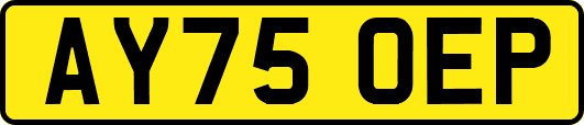 AY75OEP