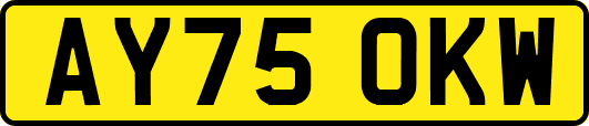 AY75OKW