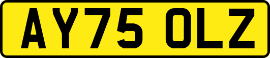 AY75OLZ