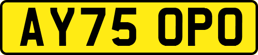 AY75OPO