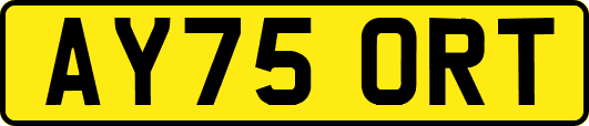 AY75ORT