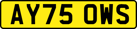 AY75OWS