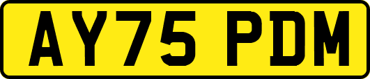 AY75PDM