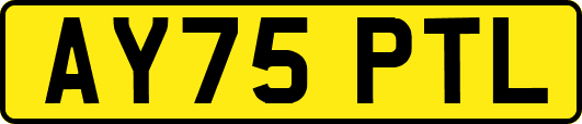 AY75PTL