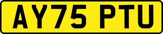 AY75PTU
