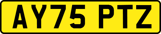 AY75PTZ