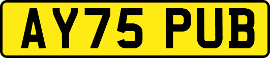 AY75PUB