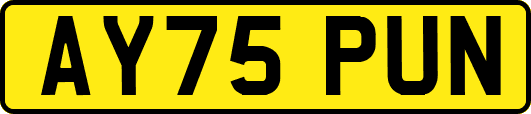 AY75PUN