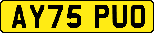 AY75PUO