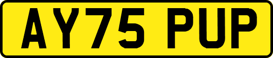 AY75PUP