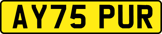 AY75PUR