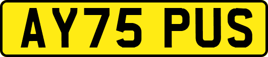 AY75PUS