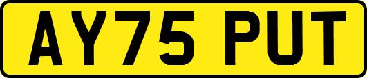 AY75PUT