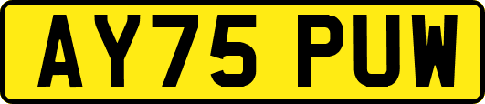 AY75PUW