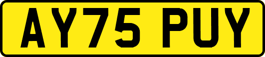 AY75PUY