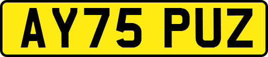 AY75PUZ