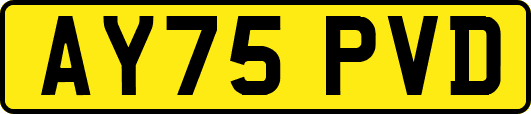 AY75PVD