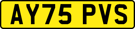AY75PVS
