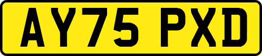AY75PXD