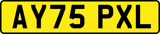 AY75PXL
