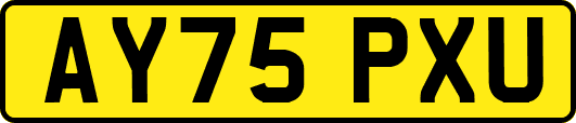 AY75PXU