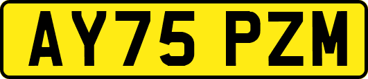 AY75PZM