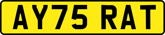 AY75RAT