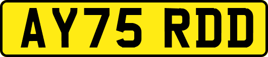 AY75RDD