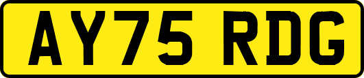 AY75RDG