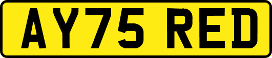 AY75RED