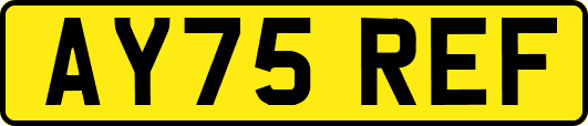 AY75REF