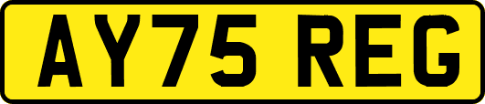AY75REG