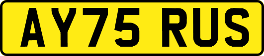 AY75RUS