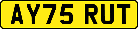 AY75RUT