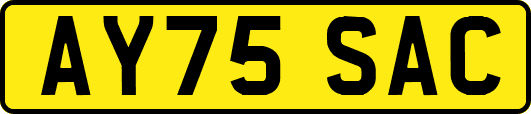 AY75SAC
