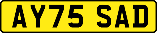 AY75SAD
