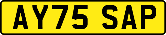 AY75SAP