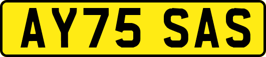 AY75SAS