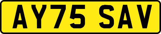 AY75SAV