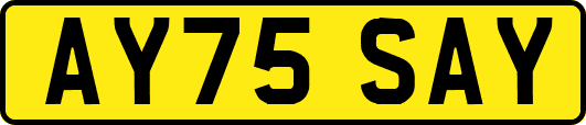 AY75SAY
