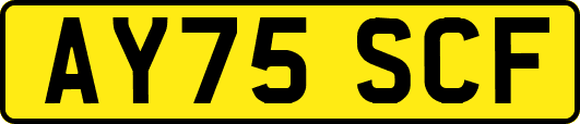 AY75SCF