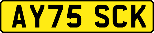 AY75SCK