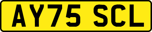 AY75SCL