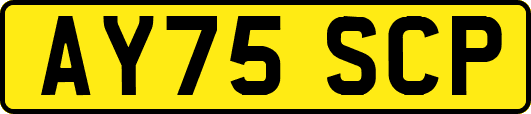 AY75SCP